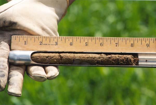 Soil carbon stock Soil Samples: Carbon content In all land uses and