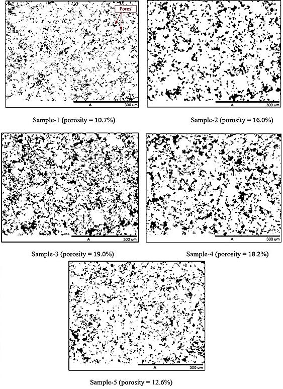 Fig.10 Selective SEM images for the five samples prepared by SFS.