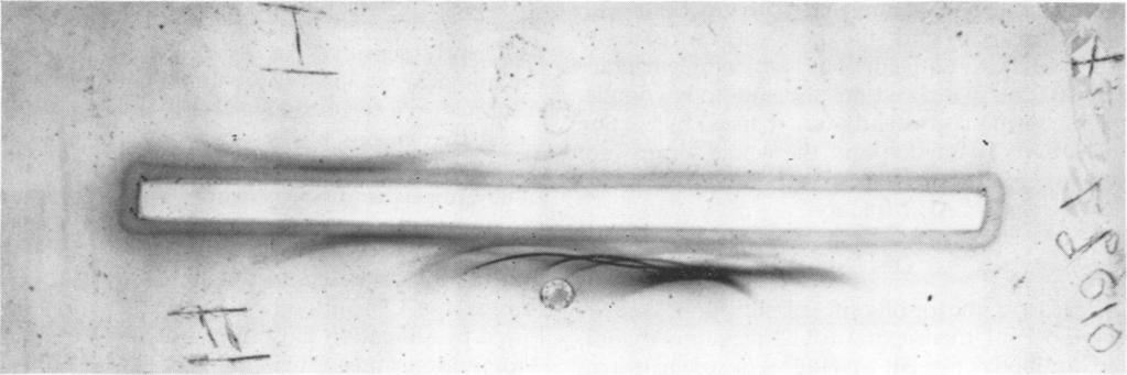 VOL. 1, 1967 ANTIBODY TO ADENOVIRUS TUMOR ANTIGEN 681 was made to separate extraneous proteins by filtration through Sephadex G-2. As shown in Fig.