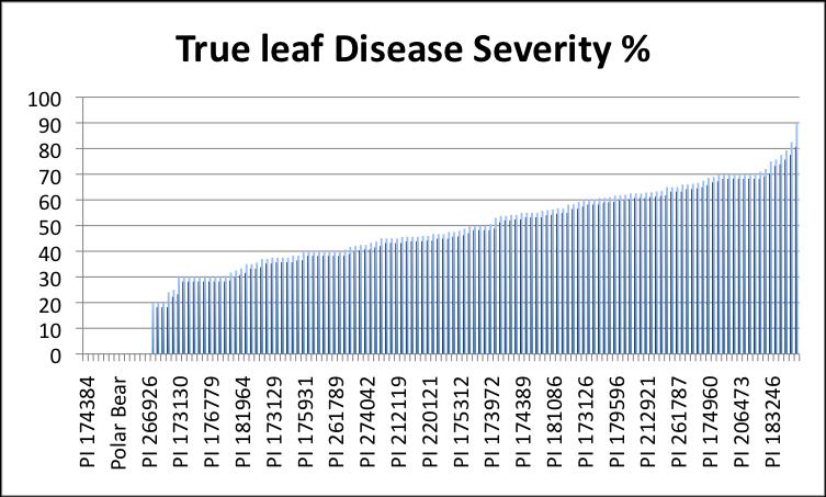 Fig. 2. Downy mildew Race 10 disease severity % on true leaves of the USDA spinach germplasm collection. Table 1.