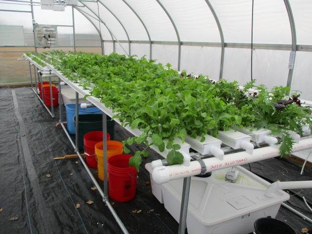 Lakeland Sustainability Site Plan Highlights Viticulture program (partnership with Camden County College) Hydroponics