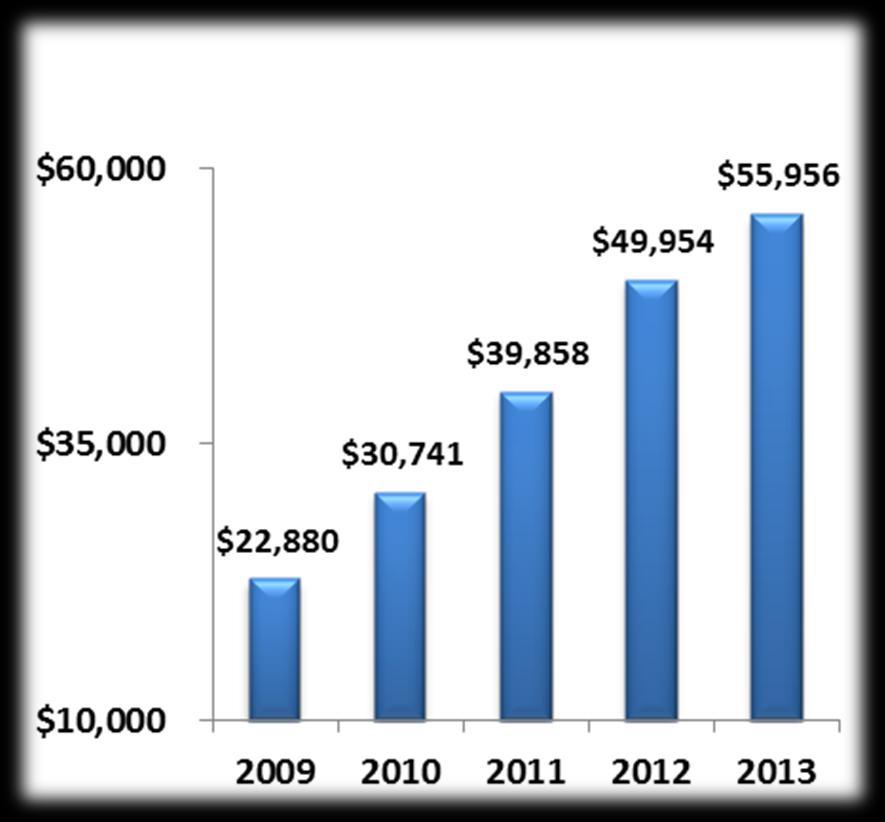 Product Revenue 2013