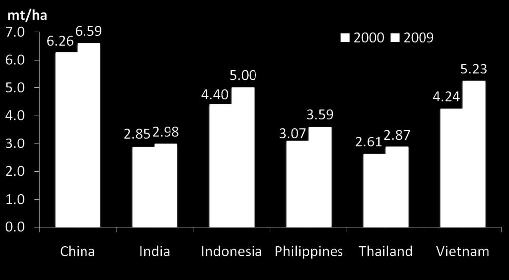 to the two countries. In 2009, the Philippines had an average yield of 3.59 mt/ha while Thailand and India had only 2.87 and 2.