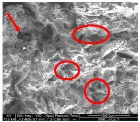 15%SiCp Composites (e) EDA of AA 6061 alloy showing the loss of Mg and Si