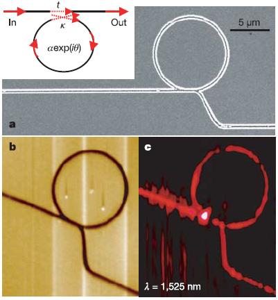 One needs near-field scanning optical microscopy (NSOM) in order to sense the plasmonic field very close above the metal.