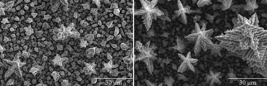 Electrodepositon of dendritic nickel-cobalt (Ni-Co): correlating surface