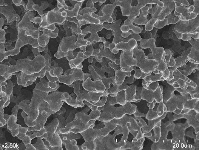 Porous iron (Fe) coatings Sol-gel 20µm Porous foam 10µm Nanstructured surface