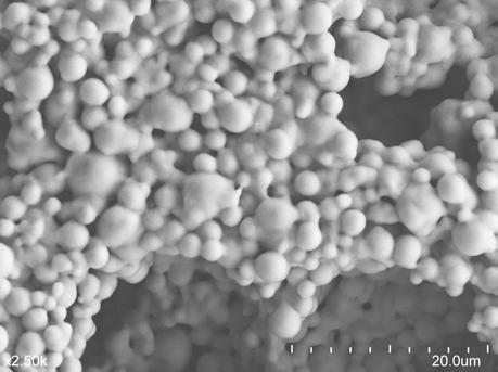 methacrylate (PMMA) beads (spherical voids) solvated in molten polyethylene