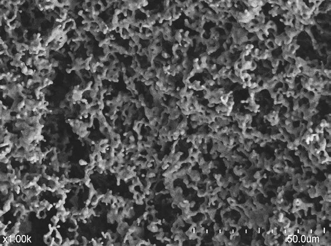 oxidation 80-100 μm coating on 1 mm Fe Robust to ultrasonication and cleaning