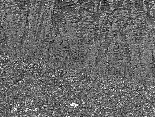 SEM cross-section micrograph in the middle of the clad layer from undamaged region (B) 40 35 30 %wg 25 20 15 globular dendritic 10 5 0 Si Mo Cr Fe Co Ni W Fig. 6.