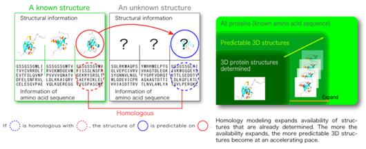 <Notes> * 1 Homology modeling method Homology modeling is a method that constructs 3D model structures of unknown proteins (target proteins) based on known homologous 3D structures (reference