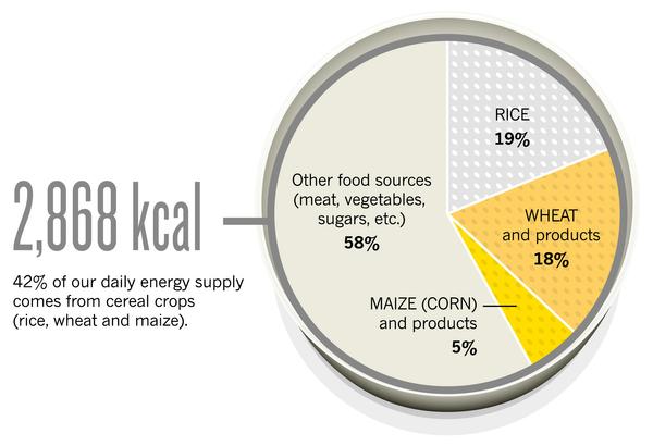 Full size image (209 KB) INCREASED DEMAND Data source: Food and Agriculture Organization