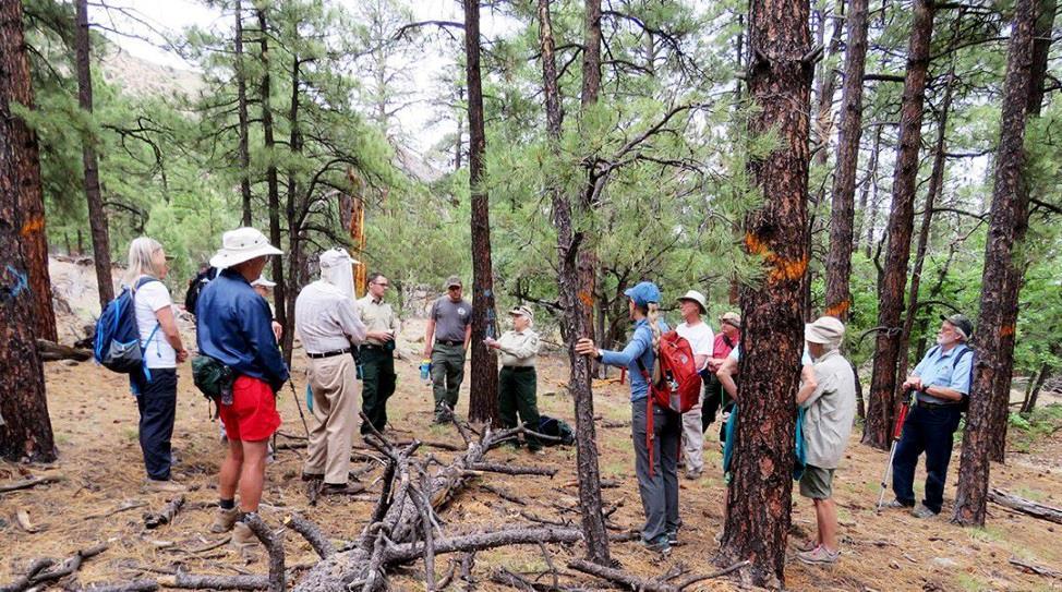 Flagstaff Watershed Protection Project Results The FWPP treatment has created a forest structure that is resilient