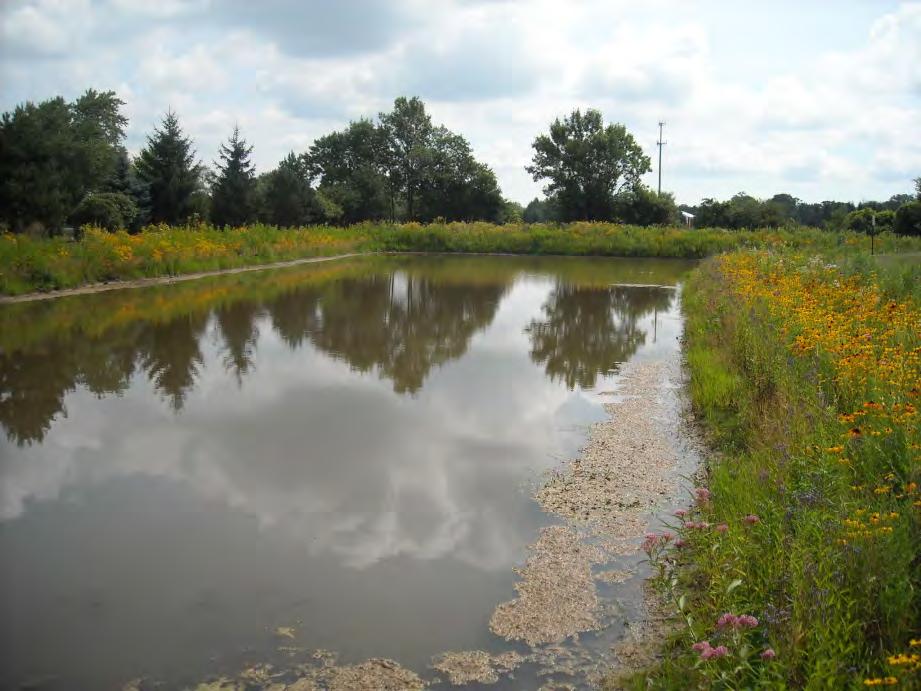 Carillon North, Grayslake, IL ILM began work in 2008 Installed & maintained native plant pond buffers and maintained prairie Site awarded EPA/Chicago Wilderness award for