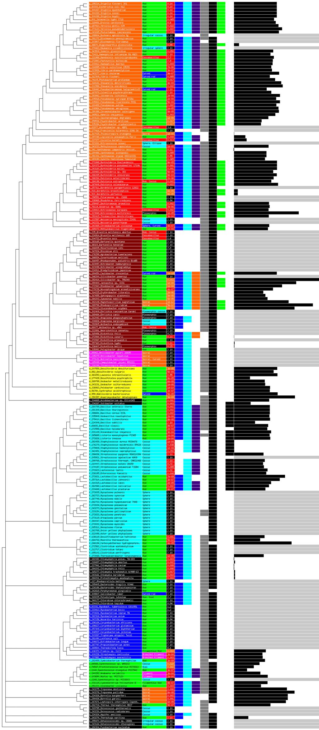 Fig. S5. Phylogenetic tree of bacterial species annotated with information pertinent to RodZ. (Column 1) National Center for Biotechnology Information Taxonomy ID and species name.
