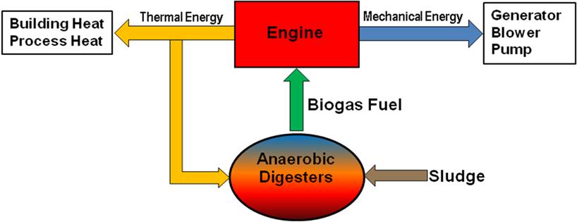 Biogas can be used to fuel Combined Heat