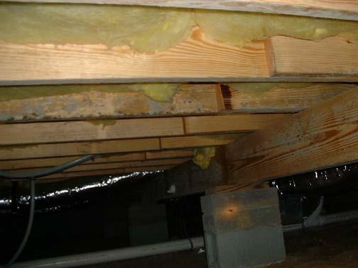 Mold beam and