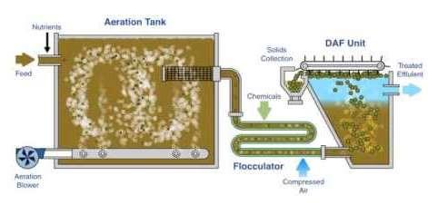 Selected Alternative - MBBR WASTE FLOW FROM CLIF BAR FACILITY EQ TANK MBBR DAF TO CITY SCREEN Adv.