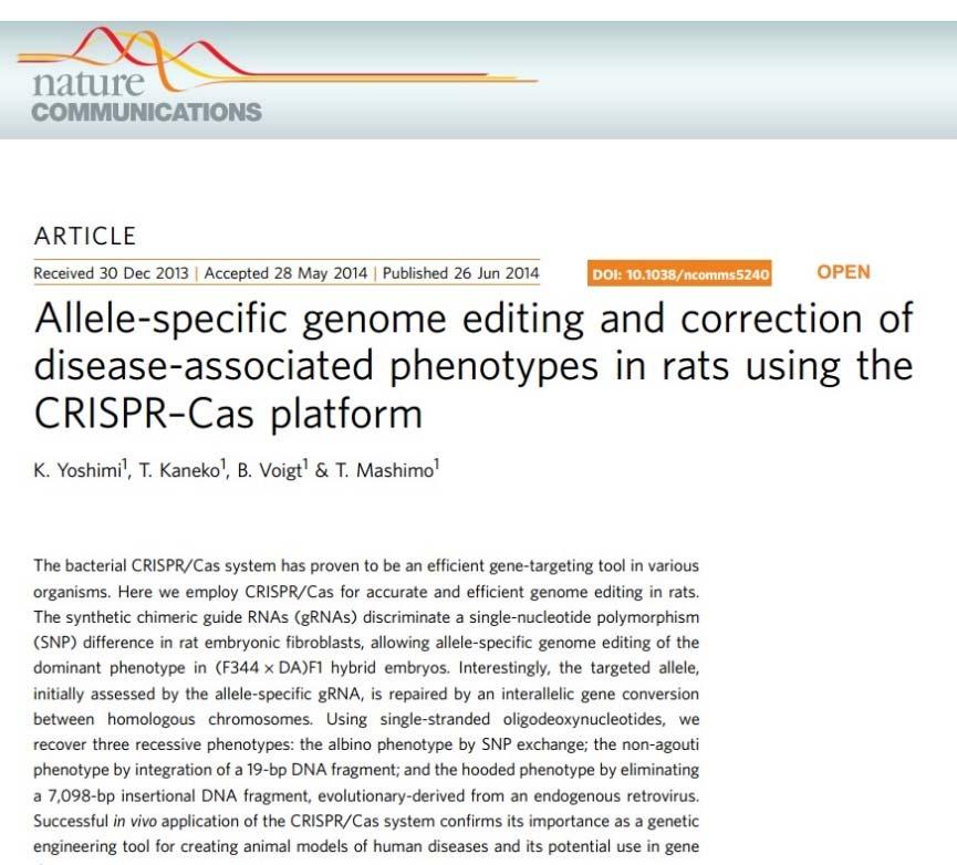 Allele-specific genome editing and correction of diseaseassociated