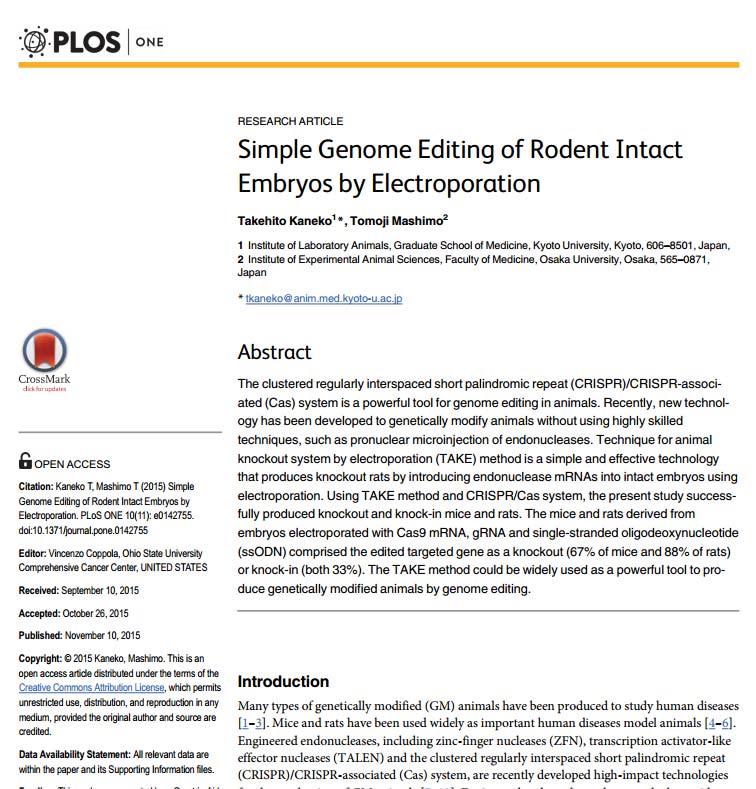 Gene Knock ins by CRISPR with ssodn!