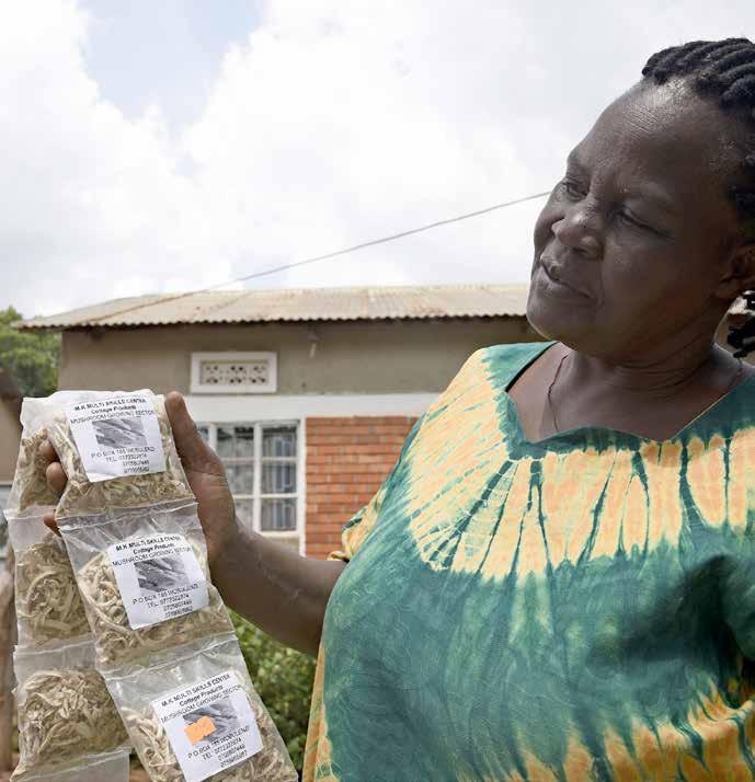 indoor mushroom production for livelihood diversification mushroom farmer Gorreti Asiimwe displaying her finished product after harvest, packaged and ready to sell at the market FAO/I.