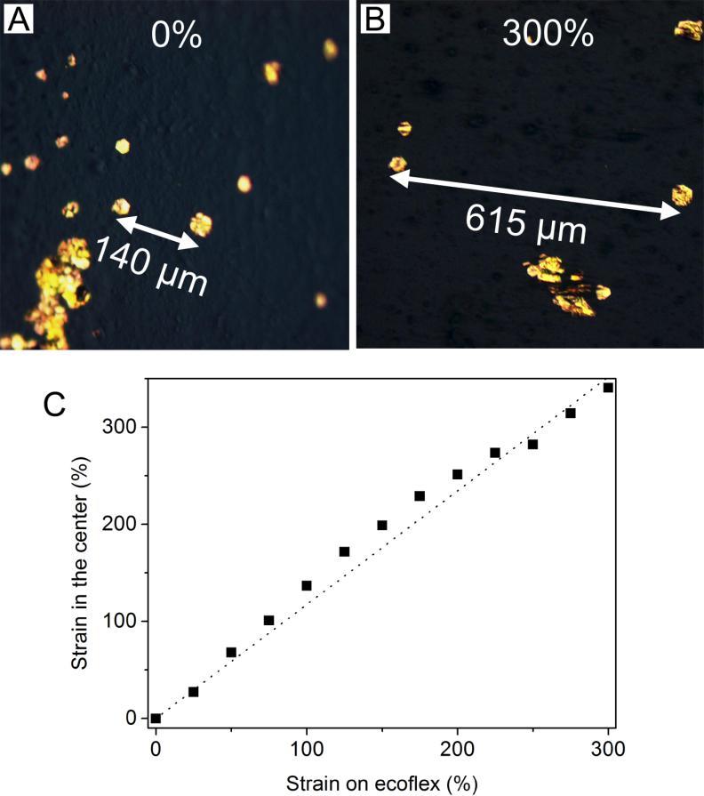 Figure S8. Opitcal microscopy images of the Au nanosheets in the center of the ecoflex substrate at o% strain (A) and at 300% strain (B).