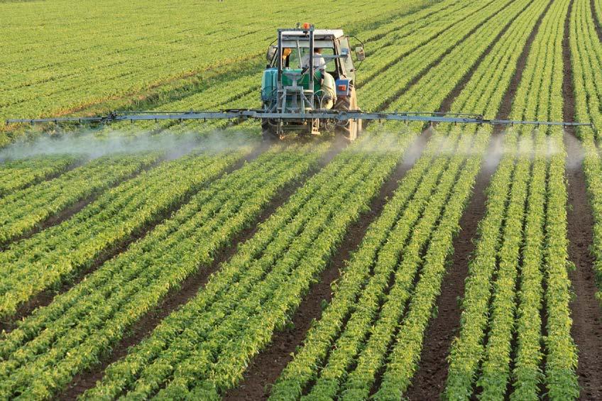 Nitrogen Fertilization Application of fertilizer has allowed for increased global population growth through increased