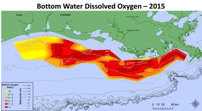 Hypoxia in the Gulf of Mexico Texas Louisiana 2015
