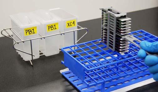 GoldenGate Genotyping Assay Manual Protocols 3 Remove the wash rack in one smooth, rapid