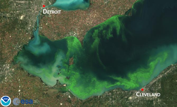 Agenda Lake Erie, 2011 Background on algal toxins