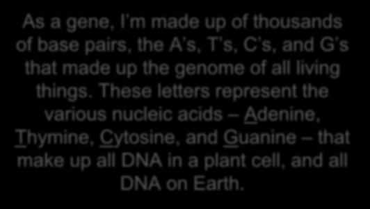 Cytosine, and Guanine that make up