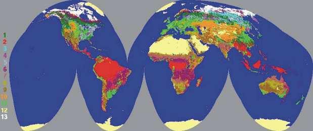 Global land cover