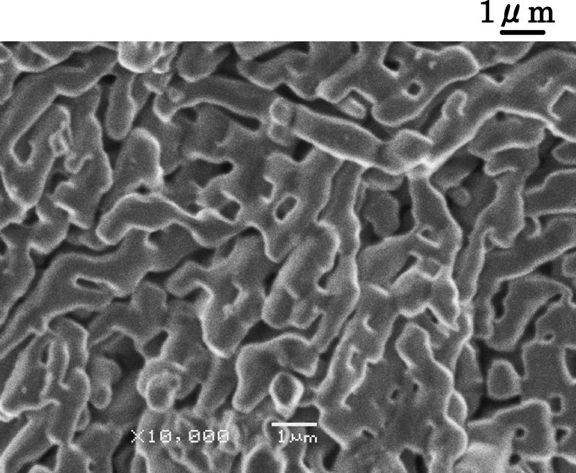 The microstructure and distribution of elements in the specimens were studied by SEM and EDX.