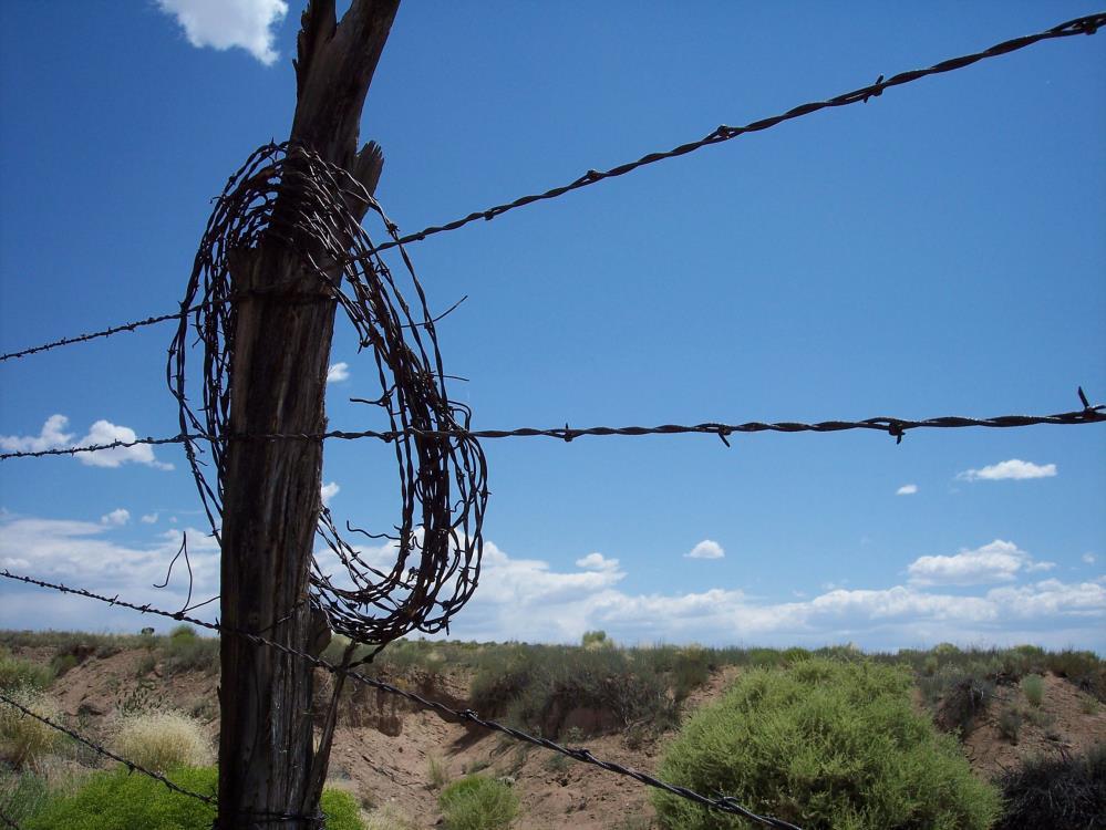 Barbed Wire Ends the Open Invented by Joseph Glidden in 1874 Allowed huge areas of land to be fenced off cheaply and easily Allowed farmers and sheep ranchers to fence in