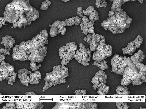 RESULTS AND DISCUSSION Figure 1 shows the agglomeration of HA powders as observed using SEM.