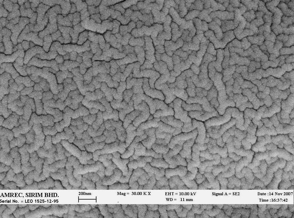 The surface of WSCH/nano-HA composites was analysed using SEM as shown in Figure 3.