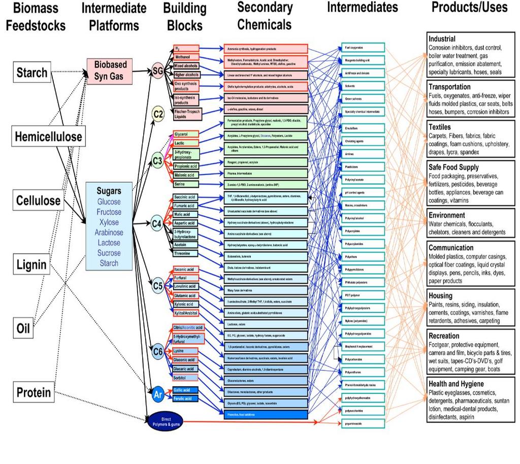 Overview biochemical synthesis, non-exhaustive Source: