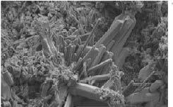 and Ettringite (hydrous calcium aluminium Sulphate) growth within the concrete micro structure as shown, in figures