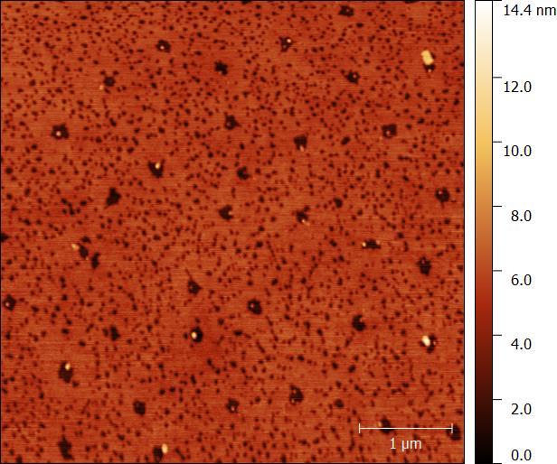 Figure S2: AFM image of a monolayer PbS NC film. The NCs shown here have been exchanged to a C8 ligand.