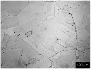 In the Co-9l-9W material, there was no significant dynamic recrystallization that occurred during hot working.