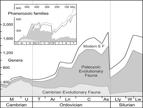 Biodiversity patterns of marine fauna through geological time J. A. Trotter et al.