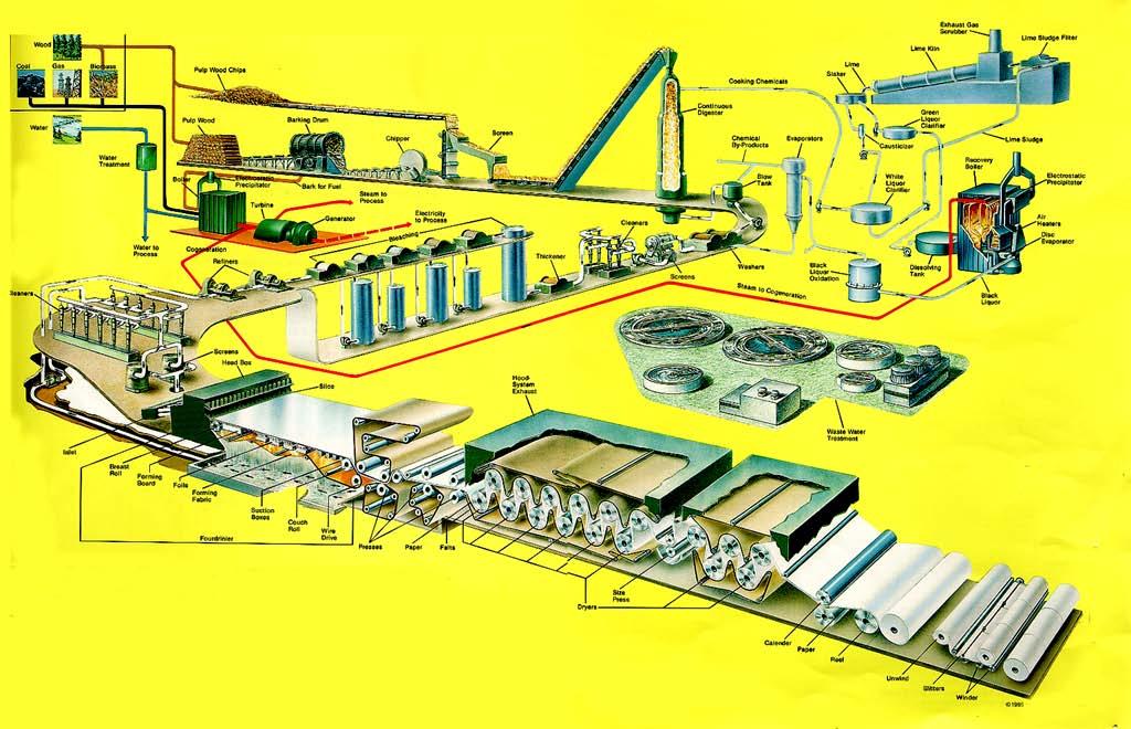 Pulp and Paper Industry Capital Intensive Industry New State of the Art Pulp Mill Costs ~$1.
