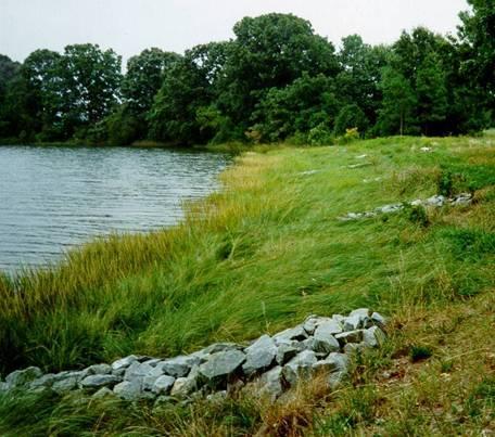 Living Shoreline Protection Act (2008) Requires non-structural shore protection practices unless proven infeasible Chesapeake & Coastal Bays Critical Area Amendments (2008) Increased vegetative