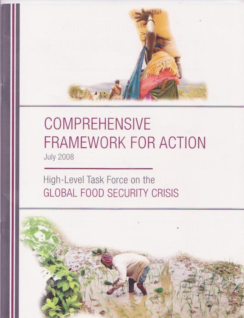 HLTF MANIFESTO: COMPREHENSIVE FRAMEWORK FOR ACTION The HLTF developed the CFA as a means for organizing collective actions in pursuit of immediate and longer