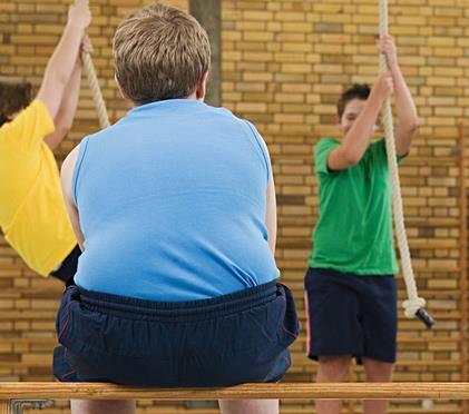 Global: 33% of adults are overweight or obese.