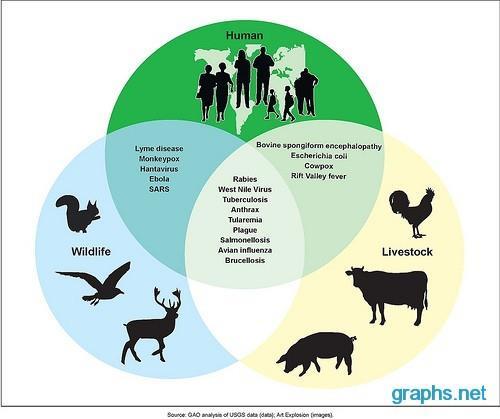 There are also concerns about animal-human interactions Animal welfare Zoonotic