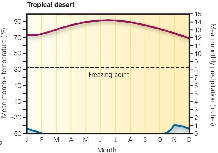Deserts Hot/Dry year