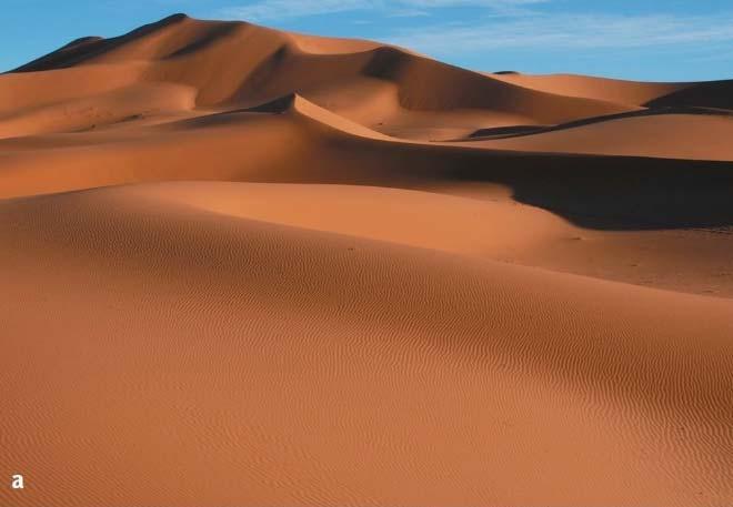 Dunes Low Biodiversity