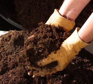 What is Compost?