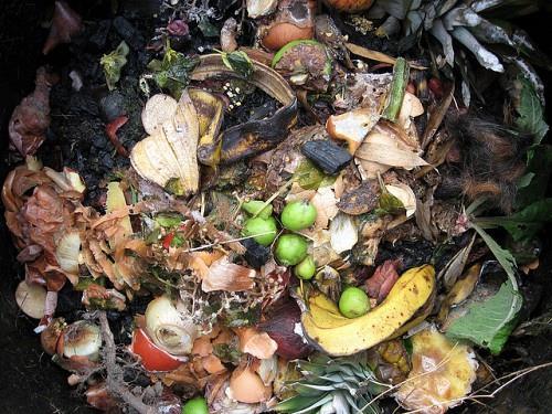 Post-Consumer Composting o